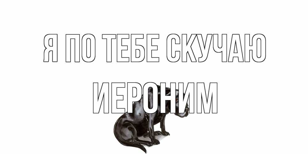 Открытка на каждый день с именем, Иероним Я по тебе скучаю я по тебе скучаю открытка с собакой Прикольная открытка с пожеланием онлайн скачать бесплатно 