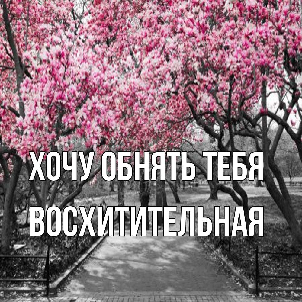 Открытка на каждый день с именем, восхитительная Хочу обнять тебя обработанное фото Прикольная открытка с пожеланием онлайн скачать бесплатно 