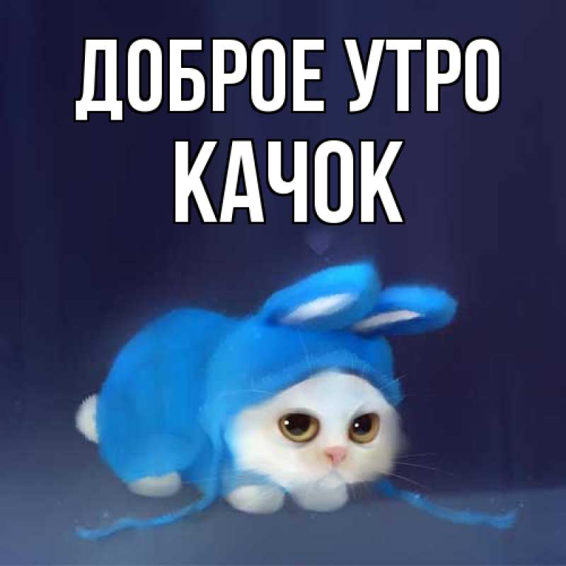 Картинка Доброе утро, Качок