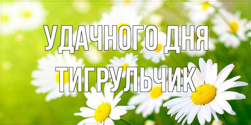Картинка Удачного дня, Тигpульчик