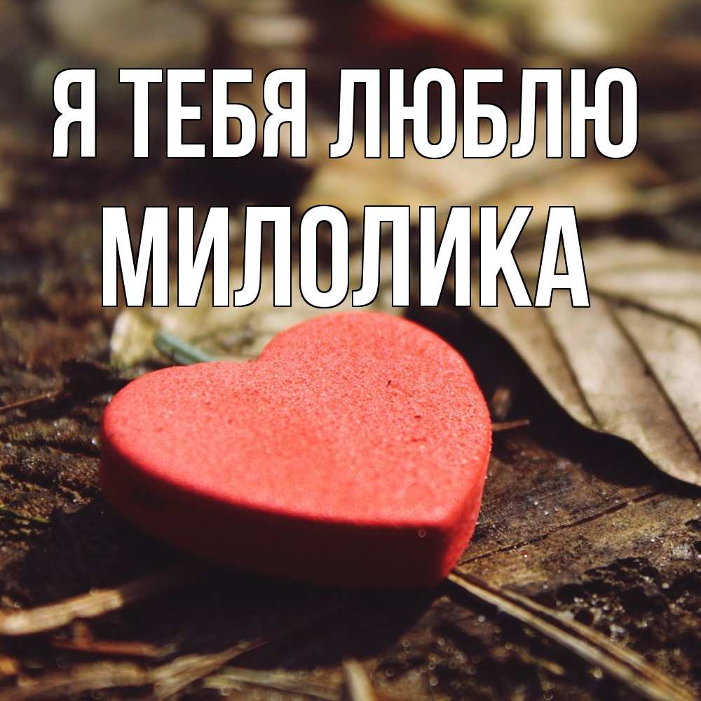 Открытка на каждый день с именем, Милолика Я тебя люблю листья деревье 4 Прикольная открытка с пожеланием онлайн скачать бесплатно 