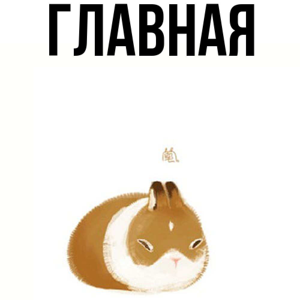 Открытка на каждый день с именем, настя Главная коричнево белый домашний питомец Прикольная открытка с пожеланием онлайн скачать бесплатно 