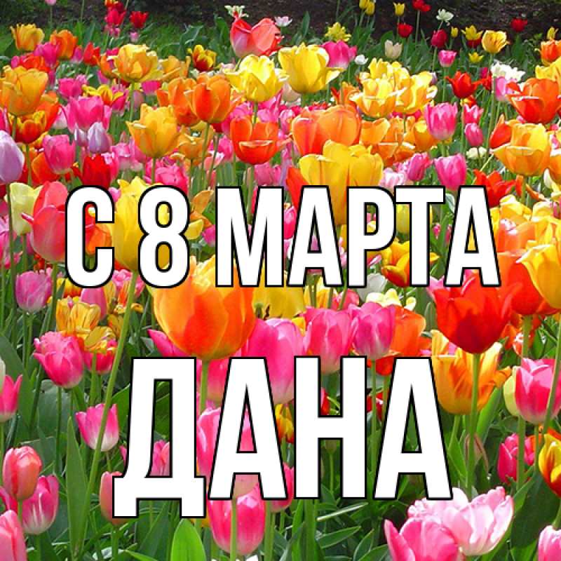 Картинка C 8 МАРТА, Дана