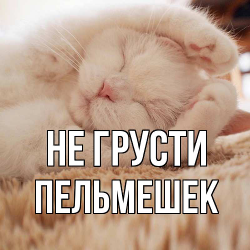 Картинка Не грусти, пельмешек