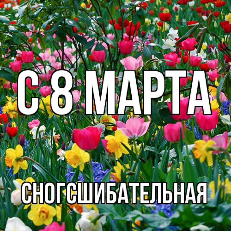 Картинка C 8 МАРТА, сногсшибательная