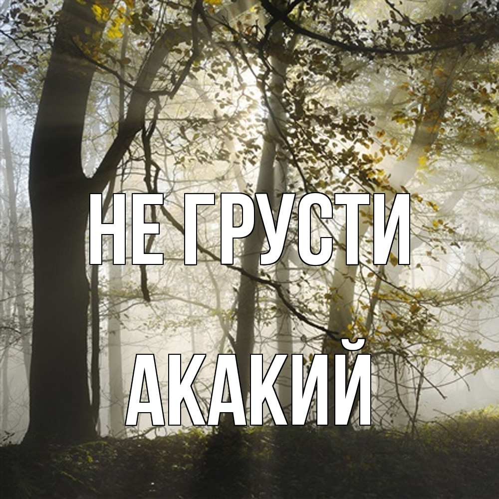 Открытка на каждый день с именем, Акакий Не грусти лес и свет Прикольная открытка с пожеланием онлайн скачать бесплатно 