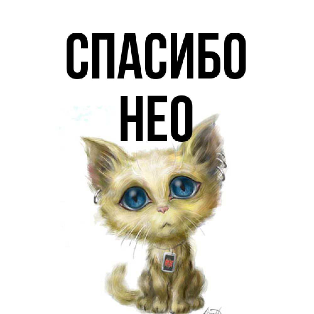 Открытка на каждый день с именем, Нео Спасибо рисованный кот благодарит вас Прикольная открытка с пожеланием онлайн скачать бесплатно 