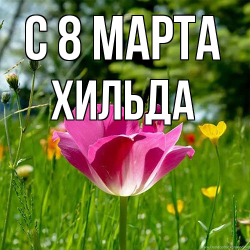 Открытка на каждый день с именем, Хильда C 8 МАРТА полевые цветы Прикольная открытка с пожеланием онлайн скачать бесплатно 