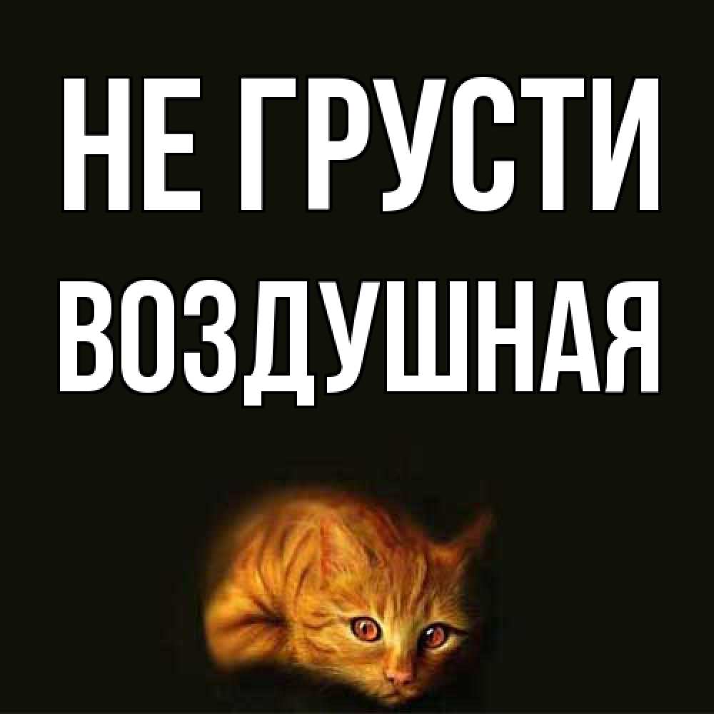 Открытка на каждый день с именем, воздушная Не грусти лежащий кот в темноте Прикольная открытка с пожеланием онлайн скачать бесплатно 