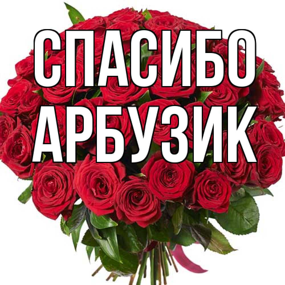 Открытка на каждый день с именем, Арбузик Спасибо букет красных роз Прикольная открытка с пожеланием онлайн скачать бесплатно 