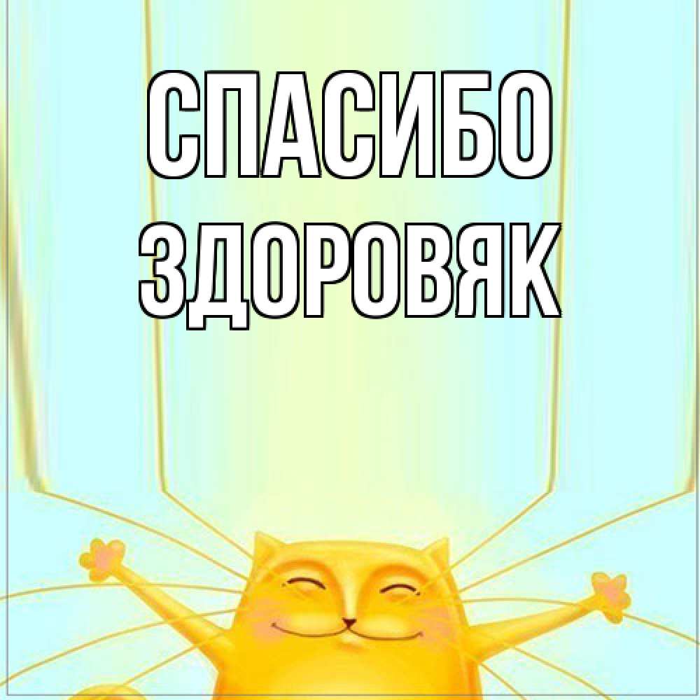 Открытка на каждый день с именем, Здоровяк Спасибо кот с усами благодарит Прикольная открытка с пожеланием онлайн скачать бесплатно 