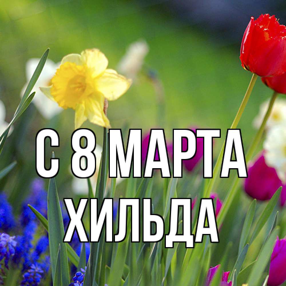 Открытка на каждый день с именем, Хильда C 8 МАРТА международный женский день 3 Прикольная открытка с пожеланием онлайн скачать бесплатно 