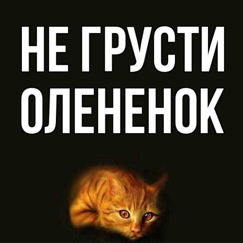 Картинка Не грусти, Олененок