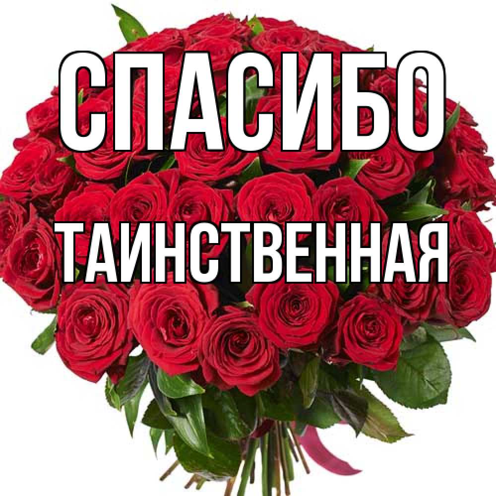 Открытка на каждый день с именем, таинственная Спасибо букет красных роз Прикольная открытка с пожеланием онлайн скачать бесплатно 