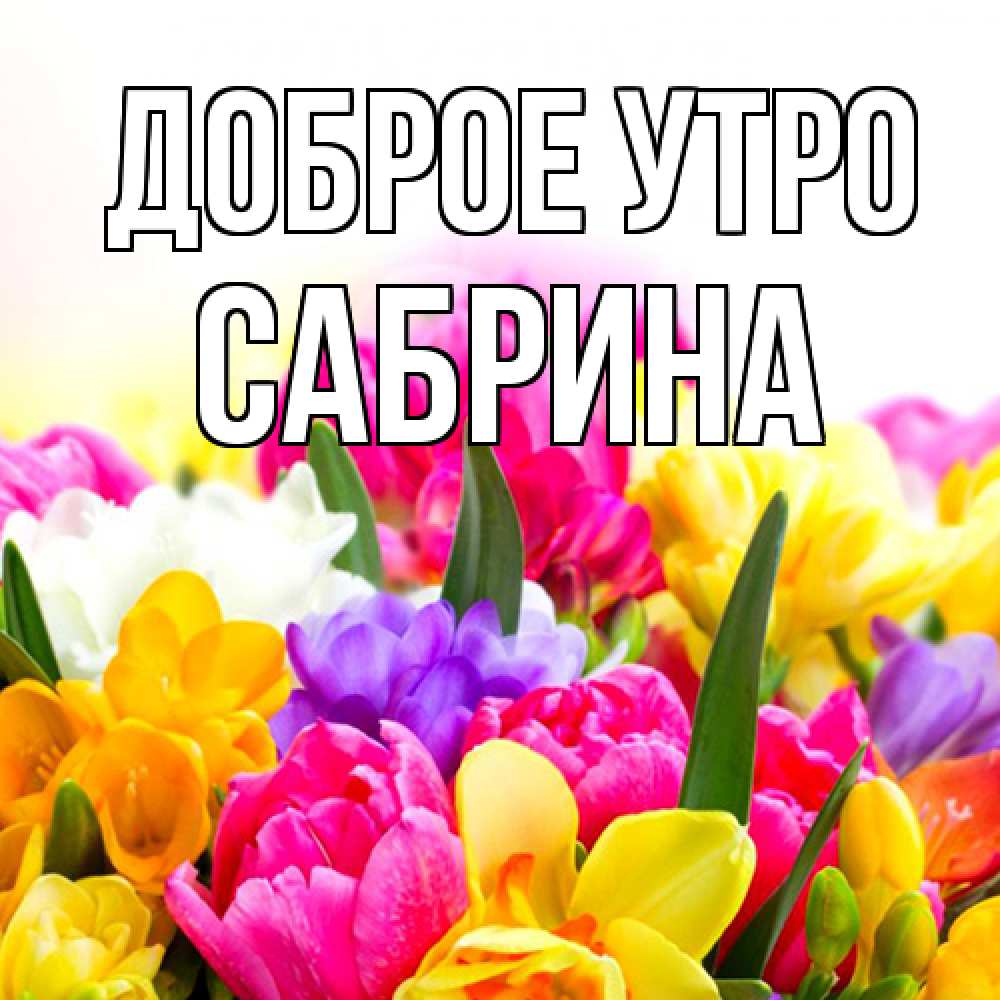 Открытка на каждый день с именем, Сабрина Доброе утро создать открытку со свое подписью Прикольная открытка с пожеланием онлайн скачать бесплатно 