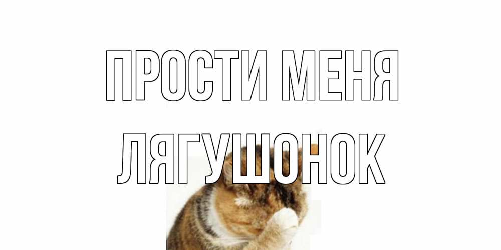 Открытка на каждый день с именем, лягушонок Прости меня кот Прикольная открытка с пожеланием онлайн скачать бесплатно 