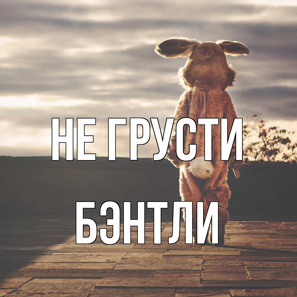 Открытка на каждый день с именем, Бэнтли Не грусти со спины Прикольная открытка с пожеланием онлайн скачать бесплатно 
