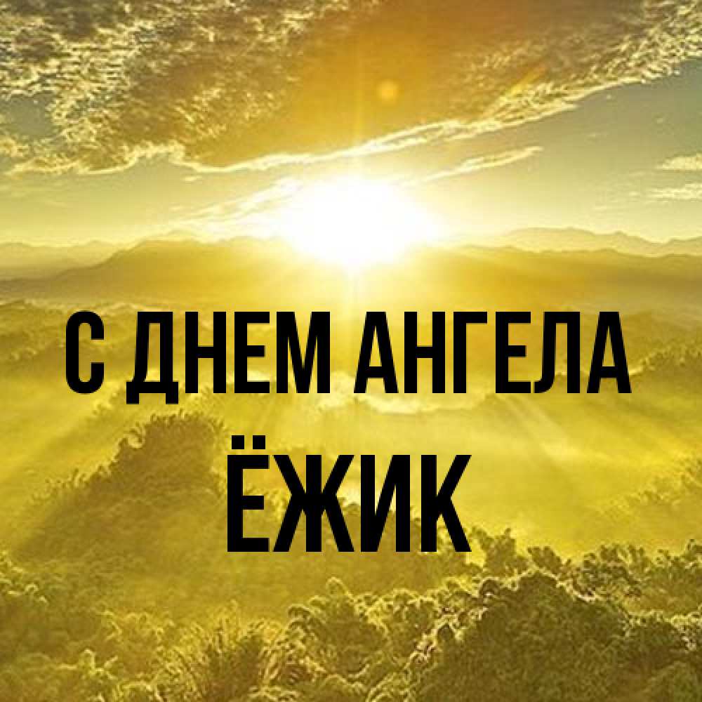 Открытка на каждый день с именем, Ёжик С днем ангела леса и небо в желтом Прикольная открытка с пожеланием онлайн скачать бесплатно 