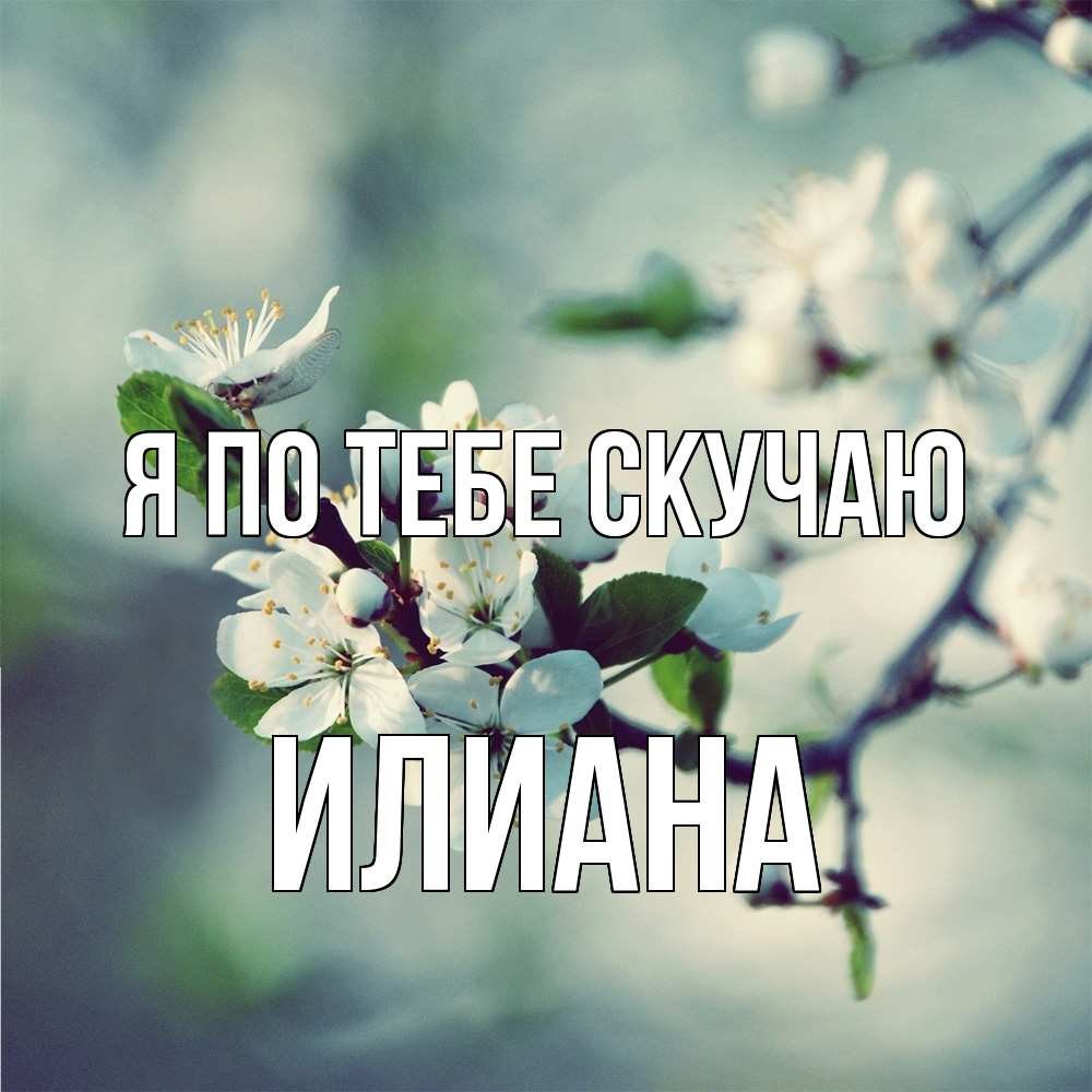 Открытка на каждый день с именем, Илиана Я по тебе скучаю весна Прикольная открытка с пожеланием онлайн скачать бесплатно 