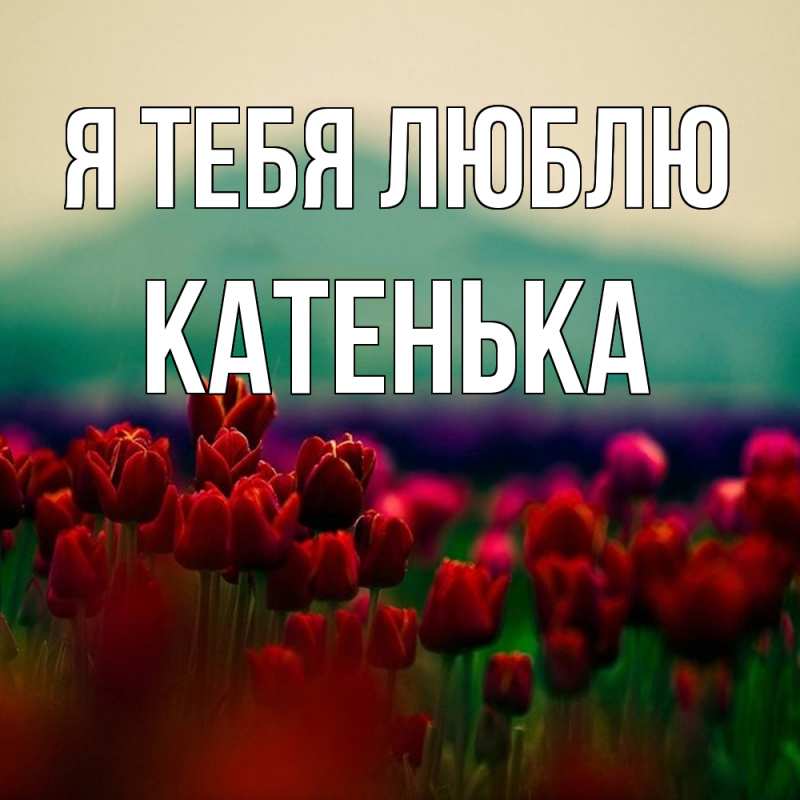 Картинка Я тебя люблю, Катенька