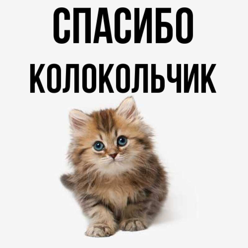 Картинка Спасибо, Колокольчик