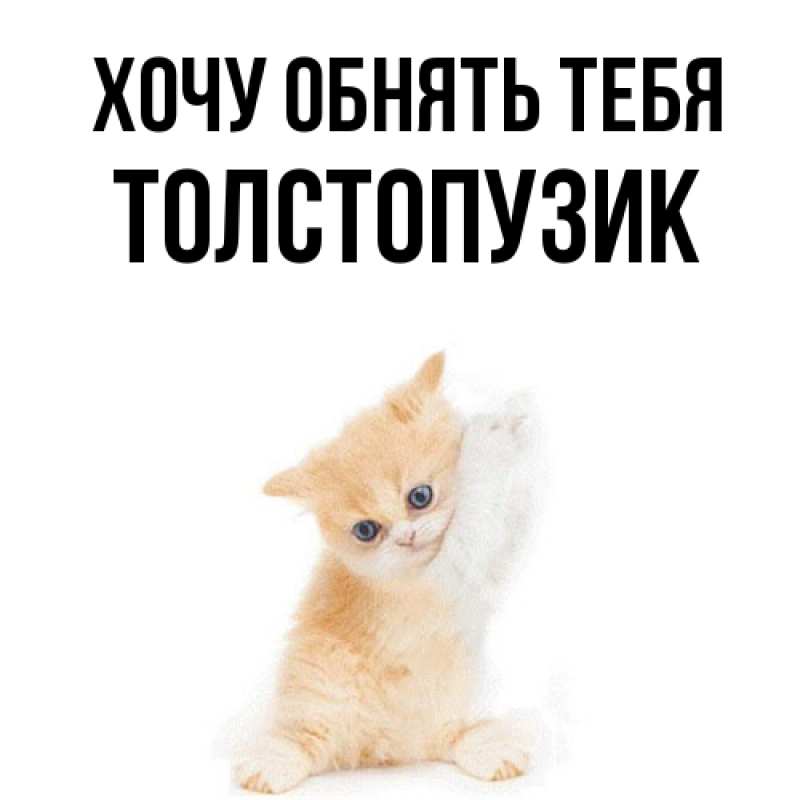 Картинка Хочу обнять тебя, Толстопузик