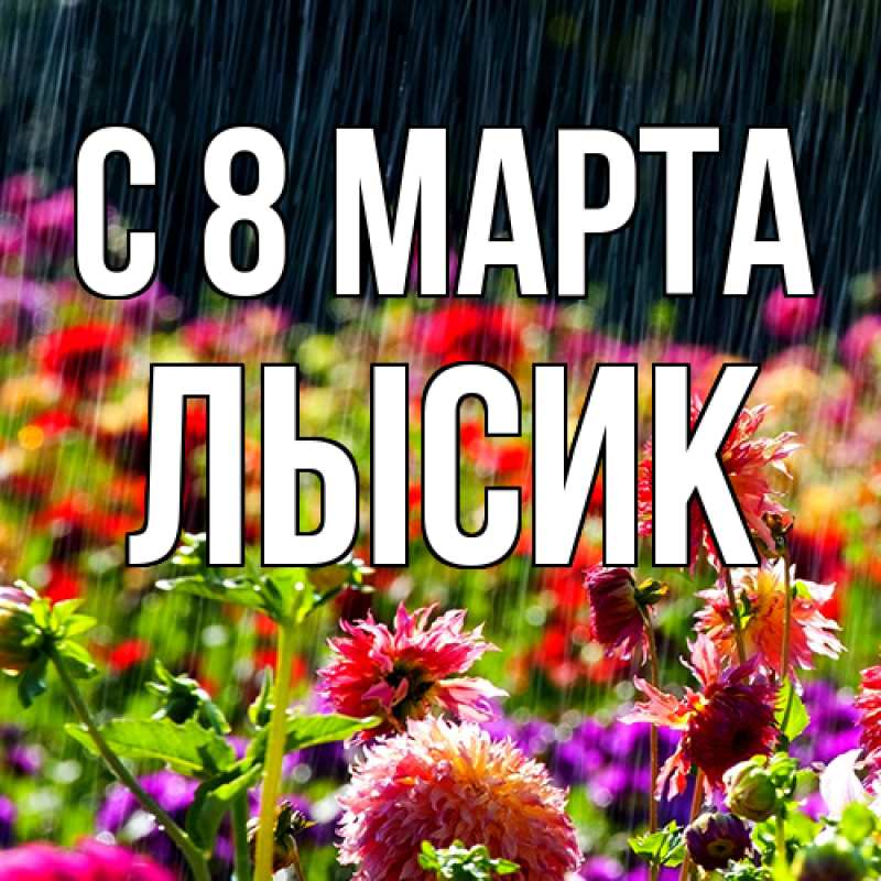 Картинка C 8 МАРТА, Лысик