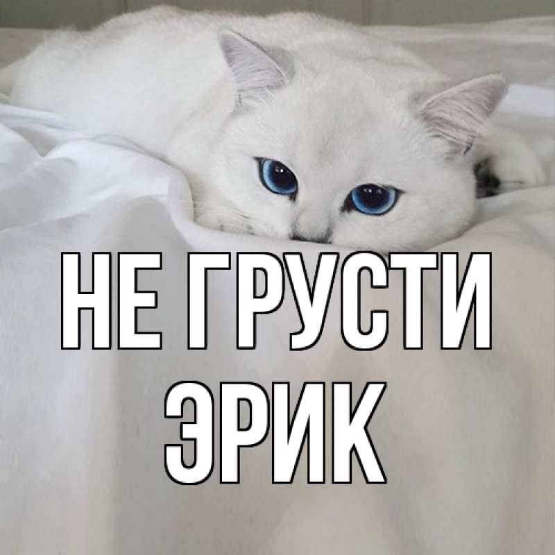 Картинка Не грусти, Эрик