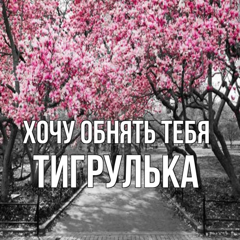 Картинка Хочу обнять тебя, тигрулька