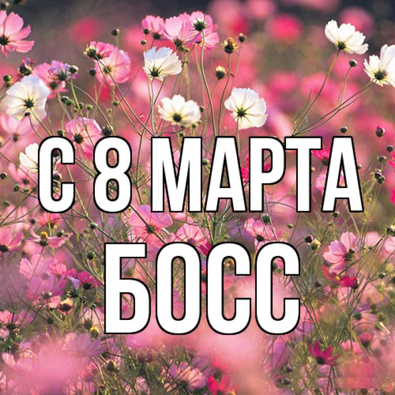 Картинка C 8 МАРТА, Босс