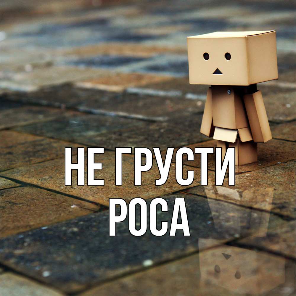 Открытка на каждый день с именем, Роса Не грусти Стив Прикольная открытка с пожеланием онлайн скачать бесплатно 