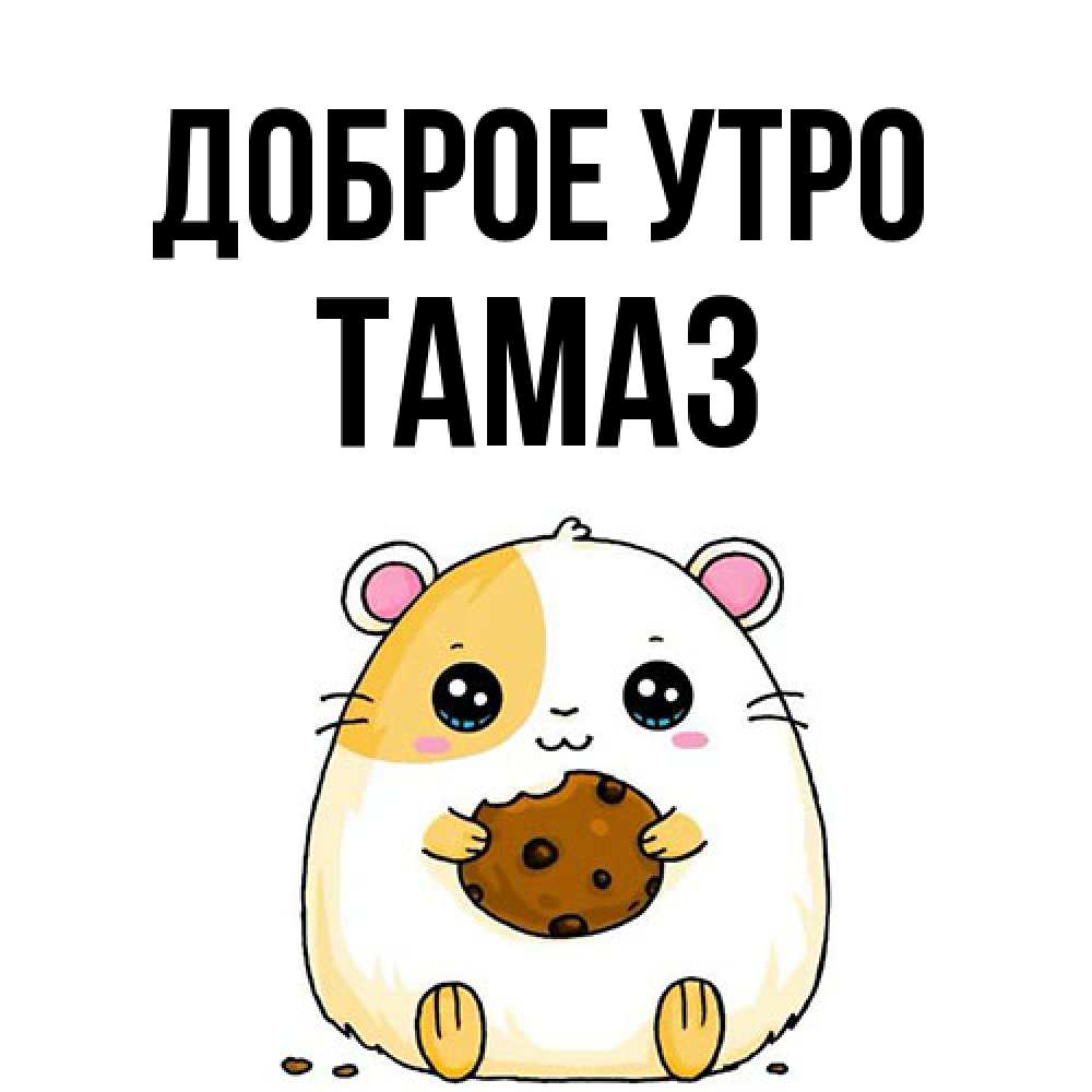 Открытка на каждый день с именем, Тамаз Доброе утро есть печеньку. Утречко Прикольная открытка с пожеланием онлайн скачать бесплатно 
