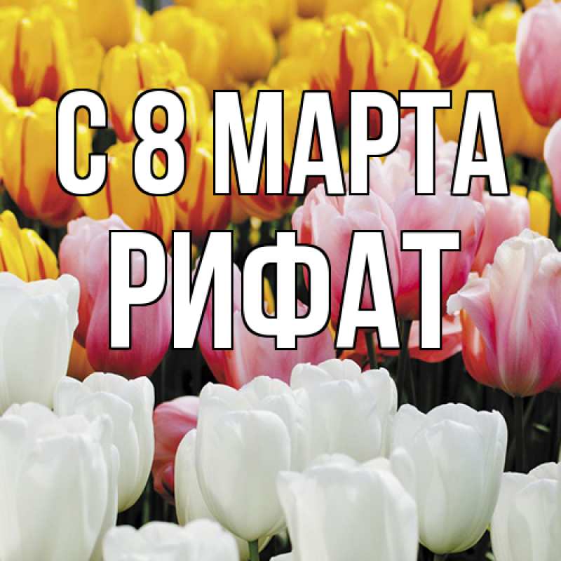 Картинка C 8 МАРТА, Рифат