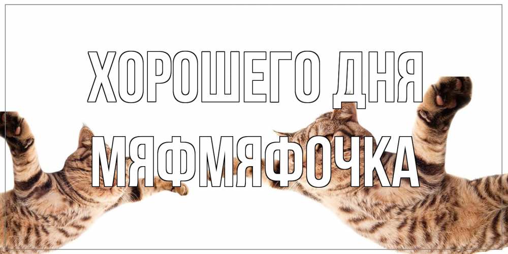 Открытка на каждый день с именем, мяфмяфочка Хорошего дня хорошего дня Прикольная открытка с пожеланием онлайн скачать бесплатно 