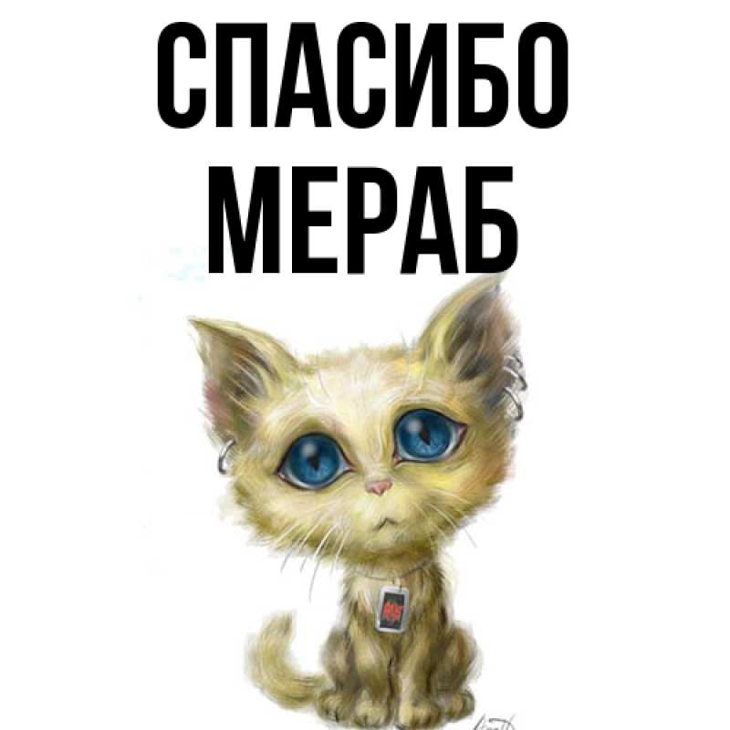 Картинка Спасибо, Мераб