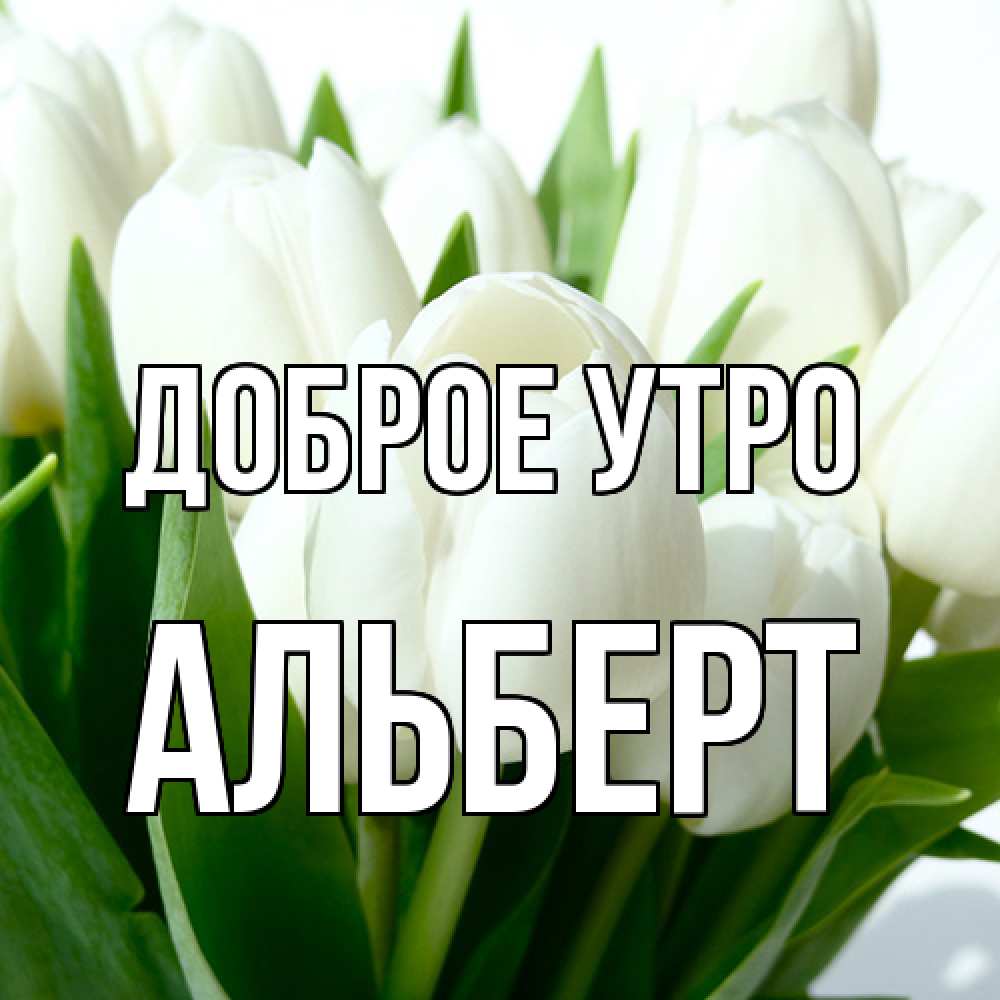 Открытка на каждый день с именем, Альберт Доброе утро открытки на каждый день по именам Прикольная открытка с пожеланием онлайн скачать бесплатно 