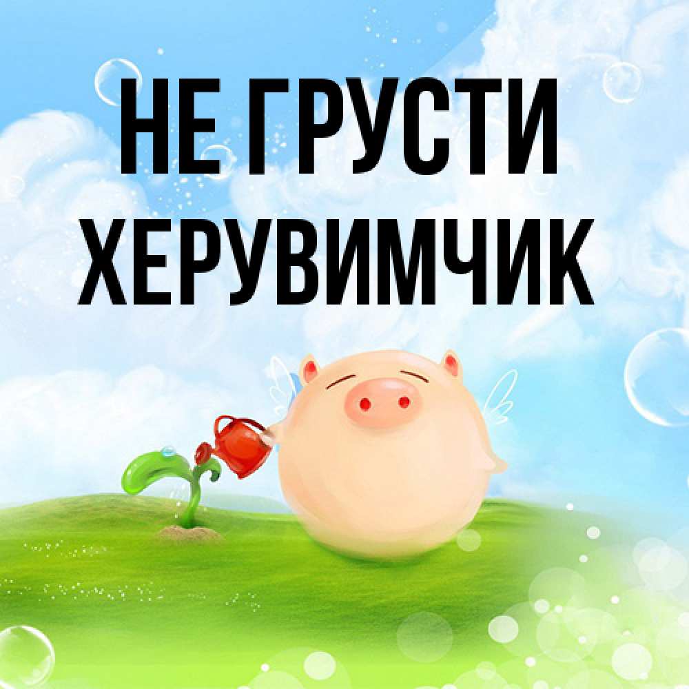 Открытка на каждый день с именем, Хеpувимчик Не грусти поливает цветок порося Прикольная открытка с пожеланием онлайн скачать бесплатно 