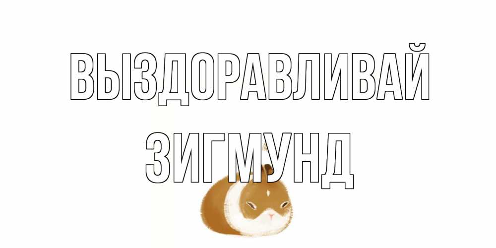 Открытка на каждый день с именем, Зигмунд Выздоравливай морская свинка на открытке с пожеланиями не болеть Прикольная открытка с пожеланием онлайн скачать бесплатно 