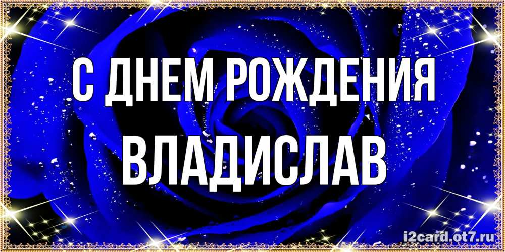 Открытка на каждый день с именем, Владислав С днем рождения голубые цветы в росе Прикольная открытка с пожеланием онлайн скачать бесплатно 