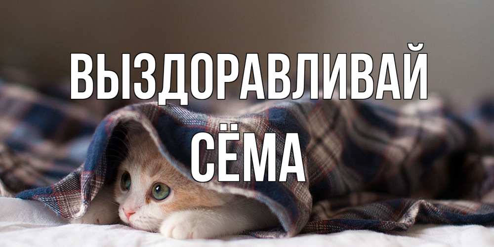 Открытка на каждый день с именем, Сёма Выздоравливай не болейте с котиком Прикольная открытка с пожеланием онлайн скачать бесплатно 