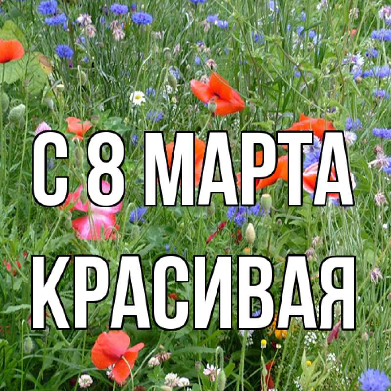 Картинка C 8 МАРТА, Красивая