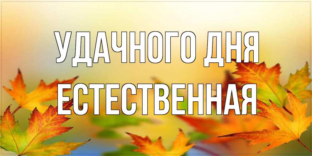 Открытка на каждый день с именем, Естественная Удачного дня открытка с пожеланием хорошего осеннего дня Прикольная открытка с пожеланием онлайн скачать бесплатно 