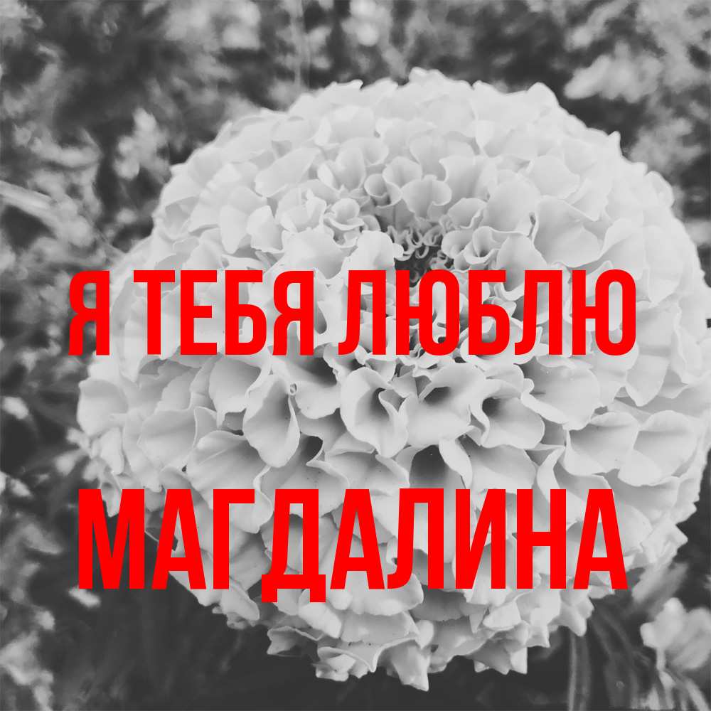 Открытка на каждый день с именем, Магдалина Я тебя люблю подпись Прикольная открытка с пожеланием онлайн скачать бесплатно 