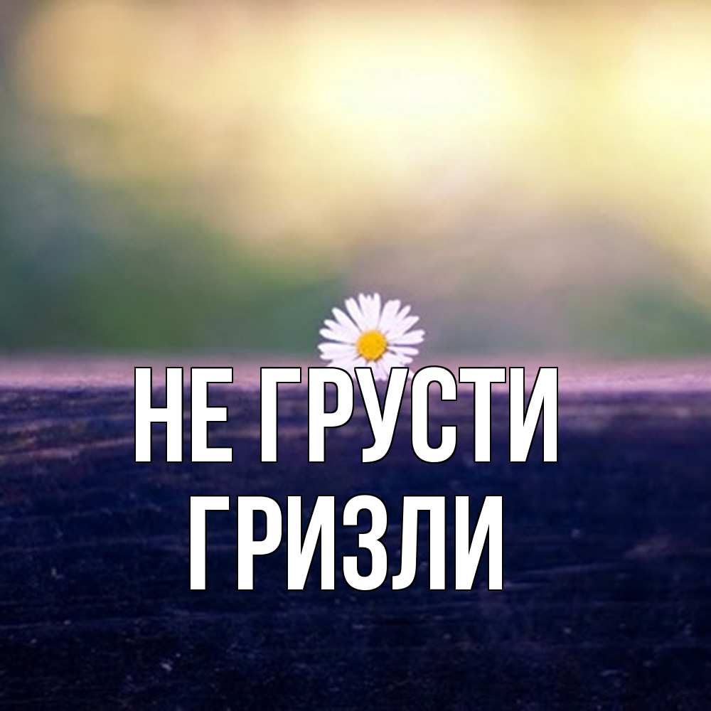 Открытка на каждый день с именем, Гризли Не грусти красота Прикольная открытка с пожеланием онлайн скачать бесплатно 