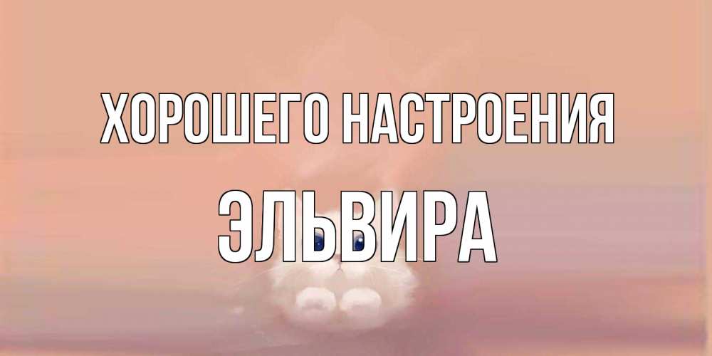 Открытка на каждый день с именем, Эльвира Хорошего настроения кошка Прикольная открытка с пожеланием онлайн скачать бесплатно 