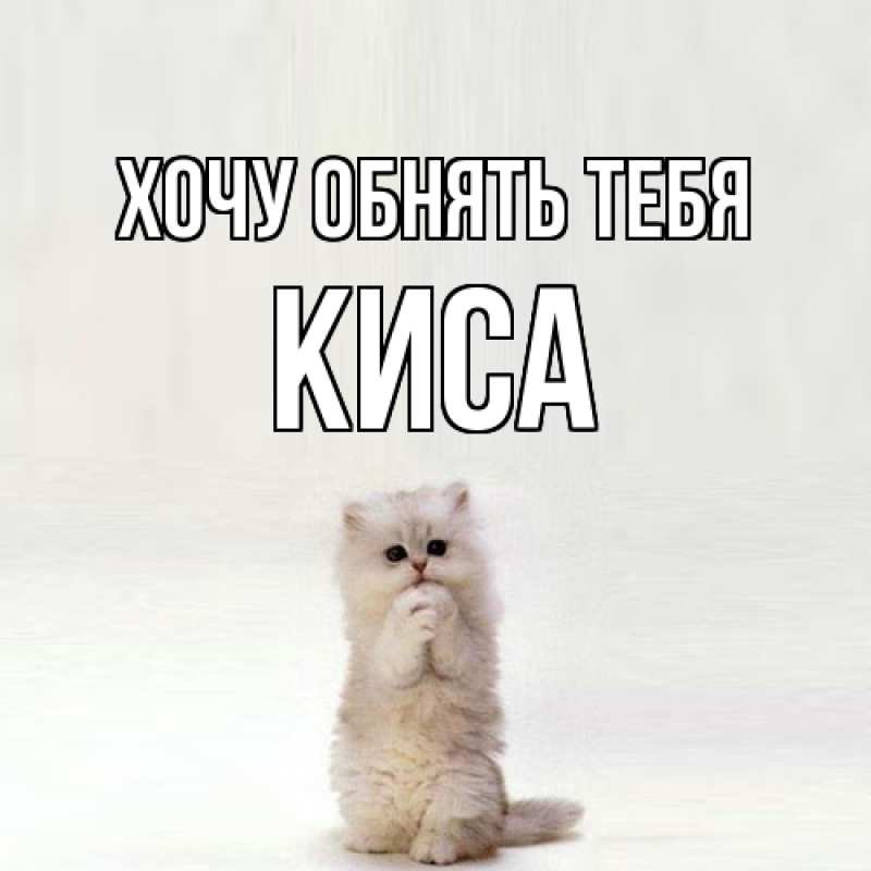 Картинка Хочу обнять тебя, Киса