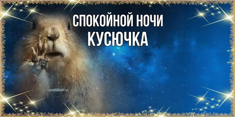 Картинка Спокойной ночи, Кусючка