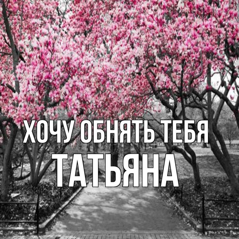 Картинка Хочу обнять тебя, Татьяна
