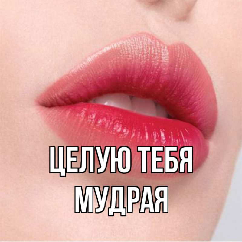 Картинка Целую тебя, мудрая
