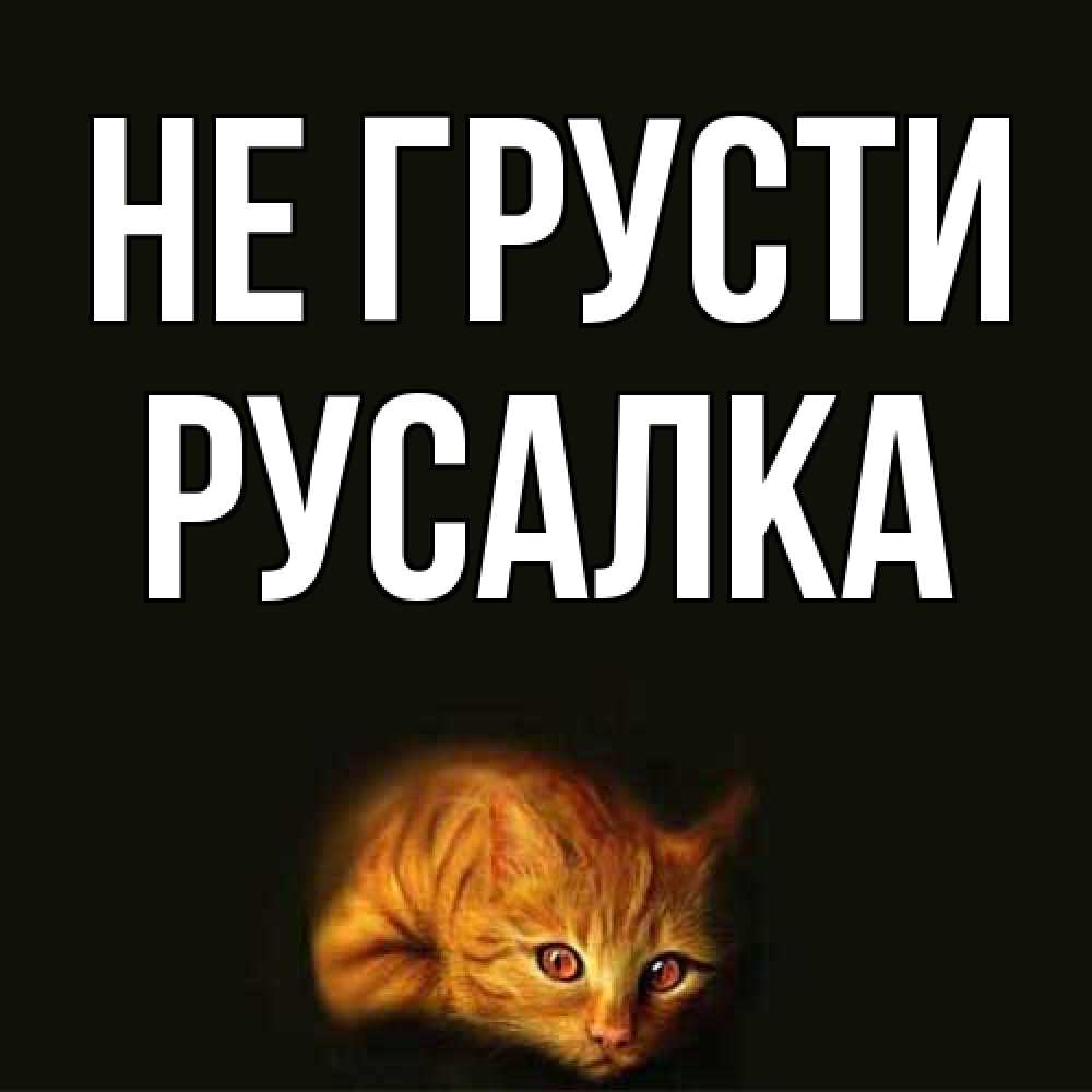Открытка на каждый день с именем, Русалка Не грусти лежащий кот в темноте Прикольная открытка с пожеланием онлайн скачать бесплатно 